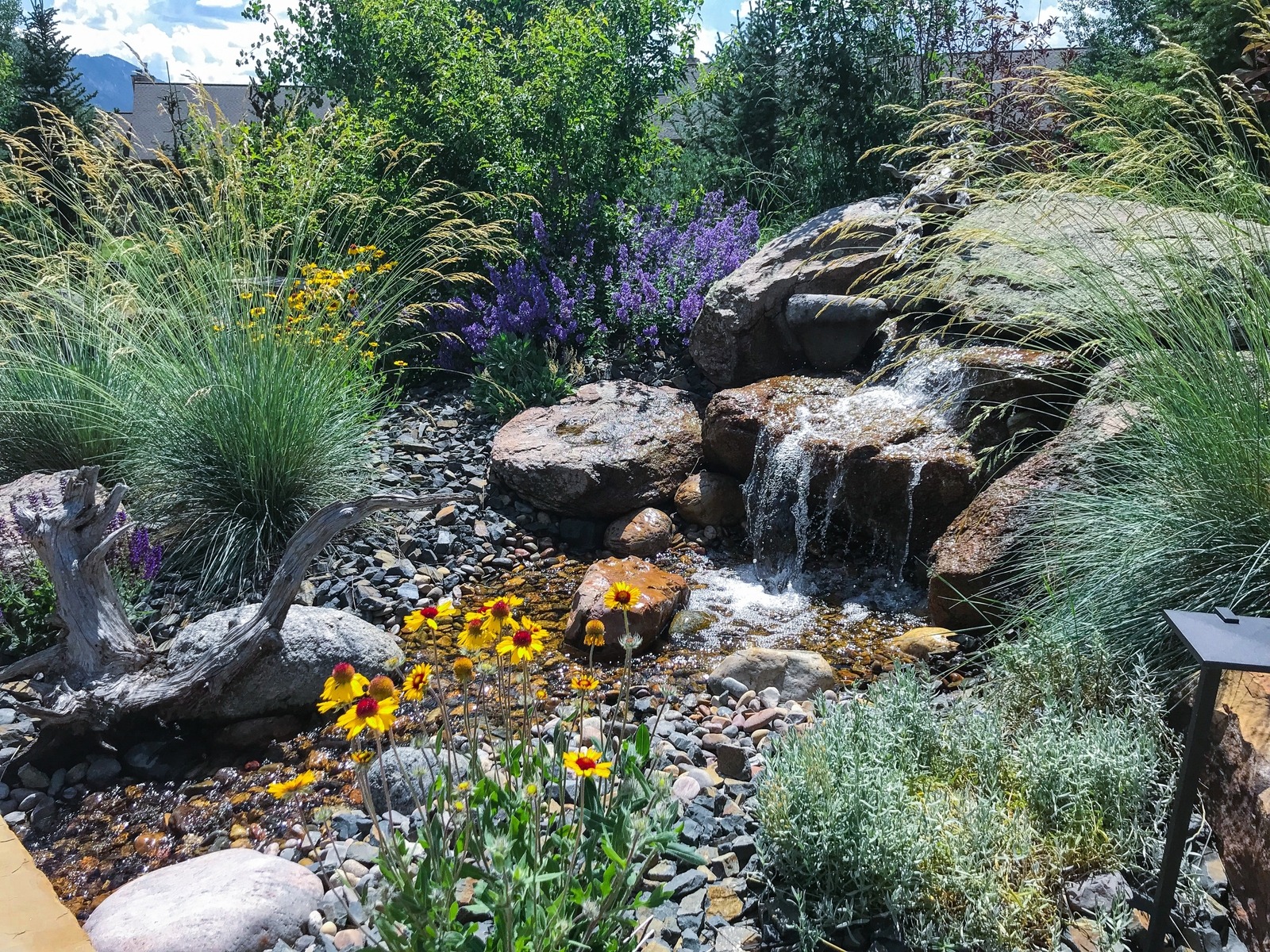 Waterfall with Native Plantings