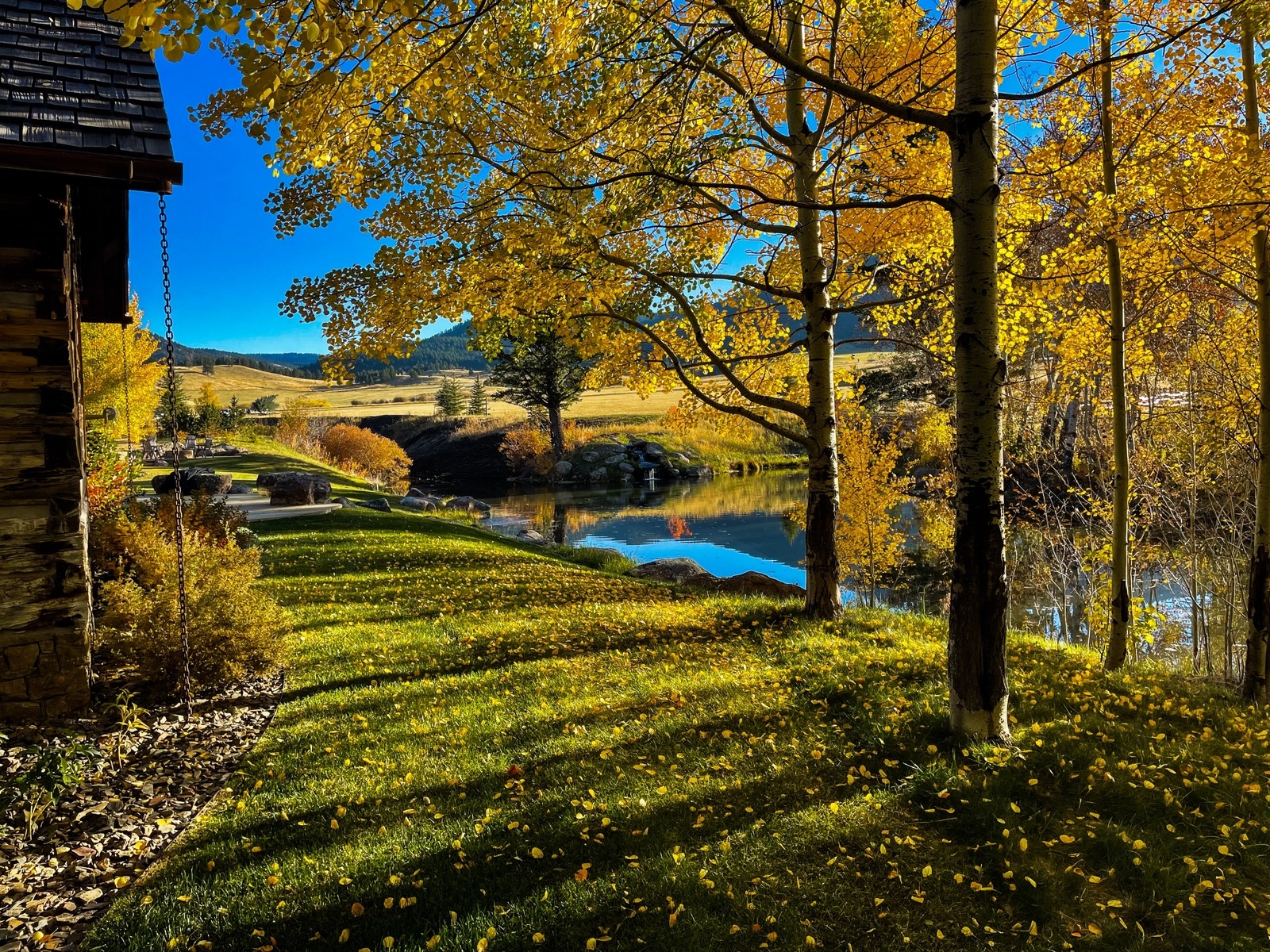 Fall Colors around Pond